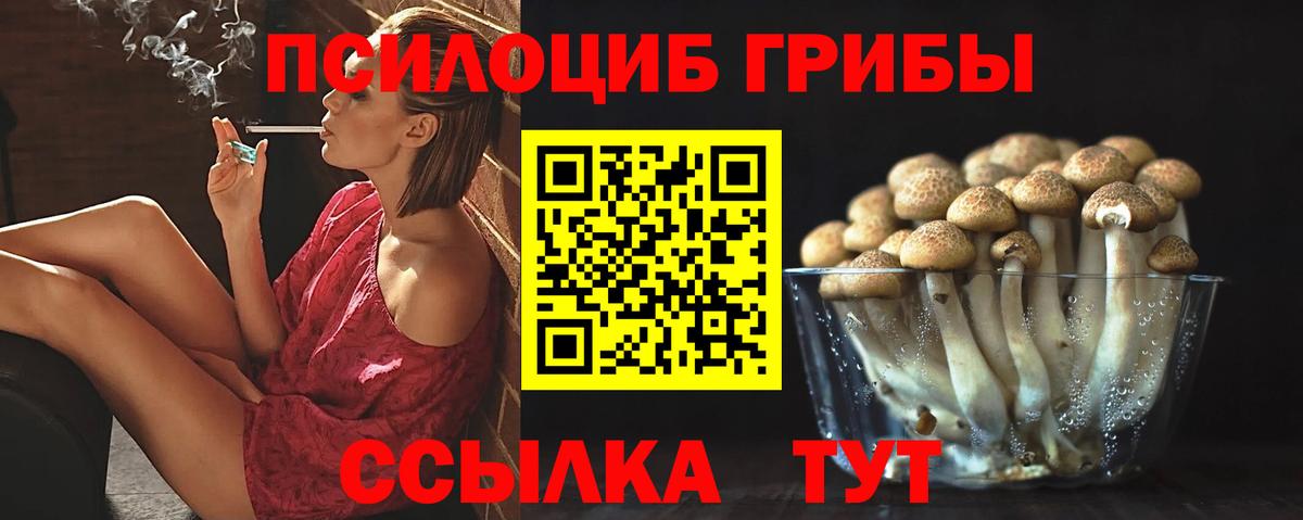 Воскресенск  Псилоцибиновые грибы ЛСД  Псилоцибиновые грибы Psilocybe  магазин продажи наркотиков  Вход с VPN 