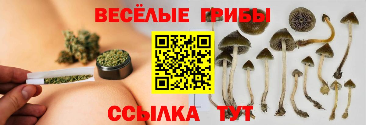 Галлюциногенные грибы Cubensis Воскресенск